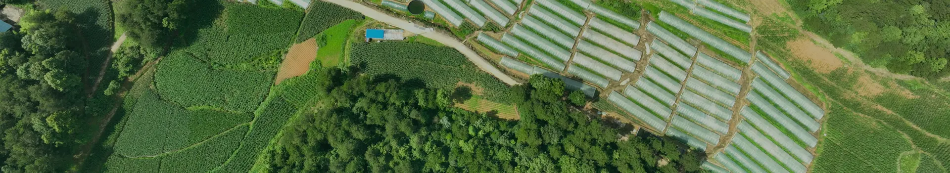 基地环境